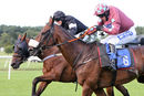 Race 4 - King Golan (14)
