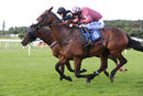 Race 4 - King Golan (15)