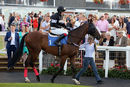 Race 4 - King Golan (2)