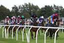Race 4 - King Golan (3)