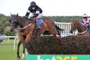 Race 4 - King Golan (5)