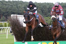 Race 4 - King Golan (6)