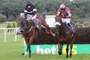 Race 4 - King Golan (7)