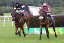 Race 4 - King Golan (8)