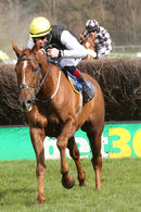 Race 4 - Larch Hill (8)