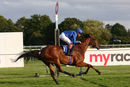 Race 4 - Last Look (10)