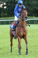 Race 4 - Last Look (11)