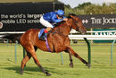Race 4 - Last Look (3)