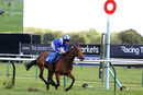 Race 4 - Layaleena (4)