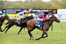 Race 4 - Light Refrain (14)