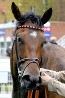 Race 4 - Light Refrain (23)