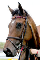 Race 4 - Light Refrain (24)