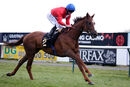 Race 4 - Lights On (10)
