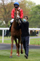 Race 4 - Lights On (11)