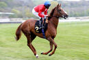 Race 4 - Lights On (2)