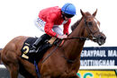 Race 4 - Lights On (8)