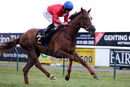 Race 4 - Lights On (9)