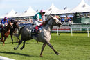 Race 4 - Logician (8)