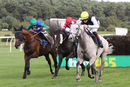 Race 4 - Luckofthedraw (5)