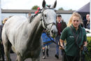 Race 4 - Luckofthedraw (9)