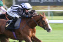 Race 4 - Lunar Jet (11)