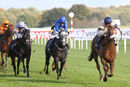 Race 4 - Magical Spirit (7)
