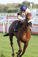 Race 4 - Magical Spirit (8)