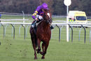 Race 4 - Majestic Dawn (3)