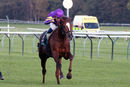 Race 4 - Majestic Dawn (4)