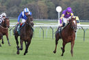 Race 4 - Majestic Dawn (5)
