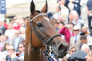 Race 4 - Marsha (10)