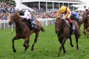 Race 4 - Marsha (6)
