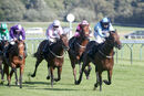 Race 4 - Matty Too (10)
