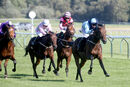 Race 4 - Matty Too (12)