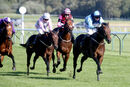 Race 4 - Matty Too (13)