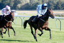 Race 4 - Matty Too (16)