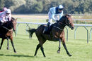 Race 4 - Matty Too (17)