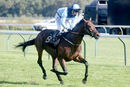 Race 4 - Matty Too (18)