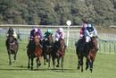 Race 4 - Matty Too (3)