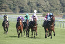 Race 4 - Matty Too (4)