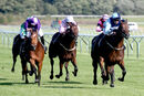 Race 4 - Matty Too (6)