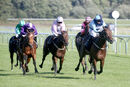 Race 4 - Matty Too (9)