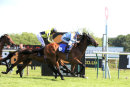 Race 4 - Mia Tesoro (13)