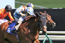 Race 4 - Mia Tesoro (8)