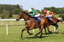Race 4 - Midnight Maestro (6)