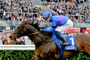 Race 4 - Migration (8)
