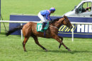 Race 4 - Mikmak (11)