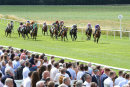 Race 4 - Mikmak (3)