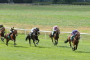Race 4 - Mikmak (4)