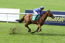 Race 4 - Mikmak (7)